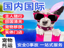 株洲芦淞机场快递国际宠物托运 【国